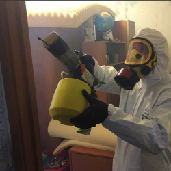 Уничтожение клопов в квартире. Сычевка